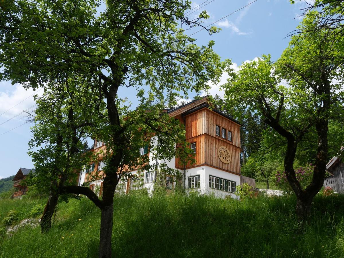 Ecologie Grundlsee Dış mekan fotoğraf